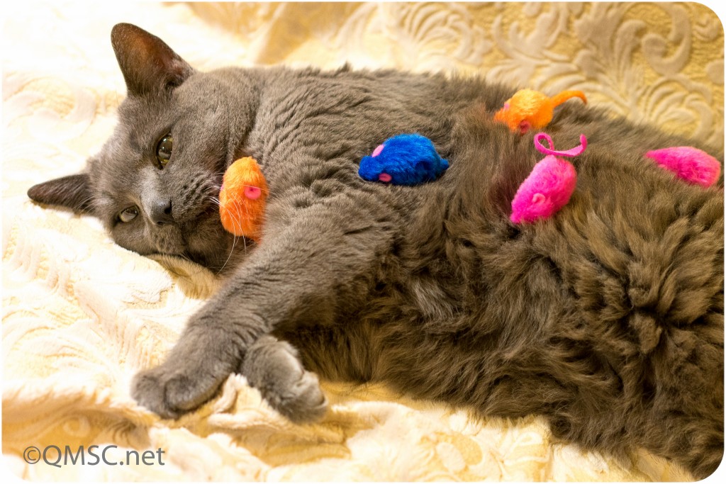 These Metrics are Out of Control