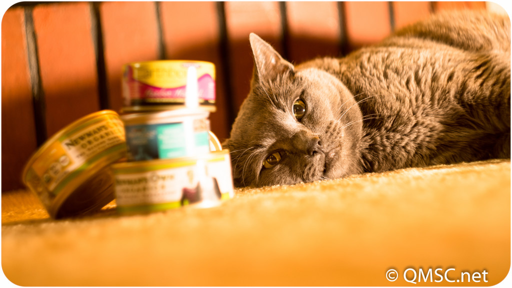 Clarence is a Secondary Container for cat food. There's OSHA within 9001, but not in Clarence.
